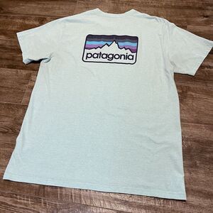 Patagonia Responsibili-Tee Shirt Mens Size XL Blue Green Logo Graphic P-6